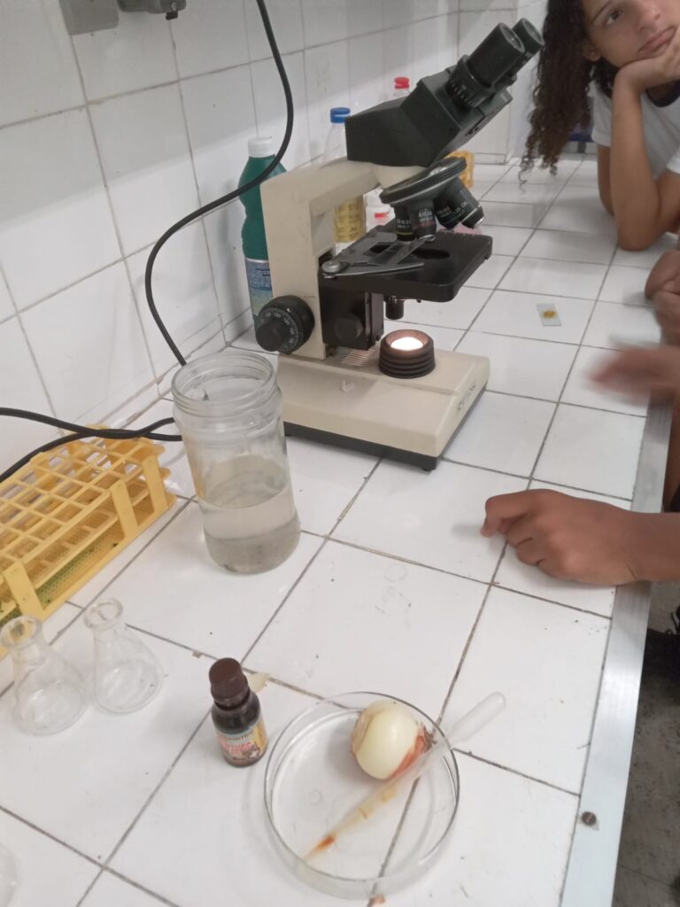 WhatsApp-Image-2024-06-01-at-09.48.09